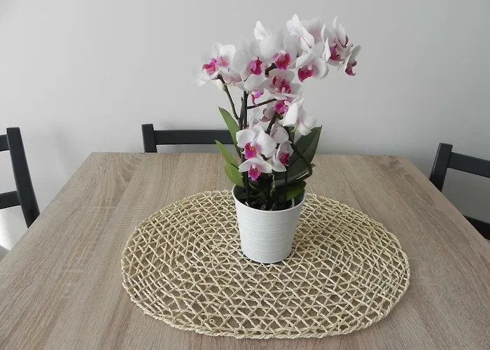 Starówka * Kołobrzeg